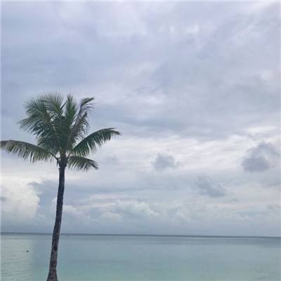 极武尊手游九游版下载
